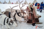 На севере Красноярского края построят дома для семей оленеводов