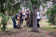 К уборке улиц Екатеринбурга привлекут студентов, обещают заплатить
