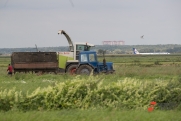 В Госдуме призвали осваивать дополнительные земли сельхозназначения