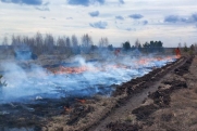 В южноуральских лесах начались первые пожары