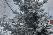 Кузбасс завалило огромным слоем снега