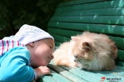 Сибирячка просит опеку забрать ребенка у сестры: «Ей не нужен сын»