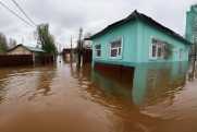 Губернатор Томской области встретился с жителями подтопленных районов на берегу Ушайки