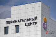 В Нижнем Новгороде не планируют открывать родильные отделения для жительниц Средней Азии