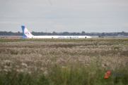 Работает грузчиком: пилот «Уральских авиалиний», посадивший самолет в пшеничном поле, спасается от бедности