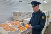 В Екатеринбург из Китая привезли экзотических фруктов на миллионы рублей
