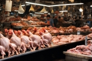 Ямальские бизнесмены намеренно завысили цены на курицу и молочные продукты