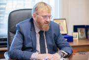 Депутат Милонов предложил отправлять эскортниц на исправительные работы