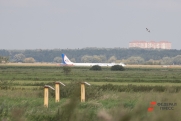 Севший в пшеничном поле под Новосибирском самолет больше не полетит