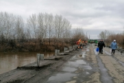 Пострадавшим от паводка в Алтайском крае выделили 10 миллионов
