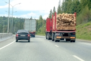 Экс-руководитель омского лесхоза подозревается в незаконных вырубках на миллионы рублей