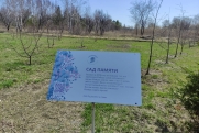 В омском парке высадили деревья в память о героях ВОВ