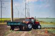 Свердловские аграрии рассчитывают на рост урожая: извлекли уроки из засухи