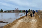 В России снизилось число подтопленных домов: ситуация в регионах