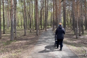 Доходы Башкирии от лесного туризма могут сравняться с прибылью от лесозаготовок