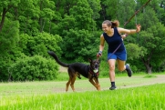 Россиянам назвали 5 спортивных пород собак для активного досуга