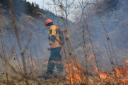 Красноярских лесопожарных массово перебрасывают в центральные районы края
