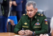 Шойгу заявил об успешном продвижении армии России в Донбассе