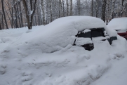 «Аномальная погода вызывает значительное беспокойство»: эксперт рассказал о майских снегопадах на Дальнем Востоке