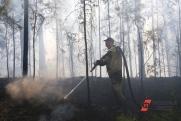 Готова ли Россия к лесным пожарам: отвечают регионы