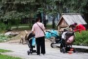 Останина объяснила Мурашко, почему россиянки не торопятся рожать