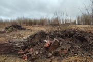 На поле фермера под Новосибирском неизвестные устроили свалку: «Сидел в засаде»