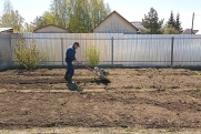 В России пострадавшим от заморозков садоводам могут выплатить компенсации