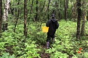 В лесах под Петербургом нашли первые подосиновики: где можно начать тихую охоту