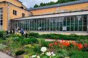 Детей и пожилых петербуржцев попросили не ходить в оранжереи Ботанического сада