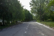 В Челябинске дорожники выйдут на борьбу с тополиным пухом
