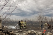 Почти на 8 миллионов оштрафовали жителей УрФО за лесные пожары