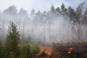 Глава МЧС РФ оценил готовность Красноярского края к лесным пожарам