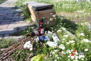 Депутата поставили в пример жалующимся на вывоз мусора на побережье Черного моря