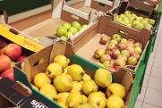 В российских магазинах появятся яблоки из КНДР