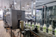 В тюменские магазины запустили 11 тонн молочной продукции без документов: проблему нашел ИИ