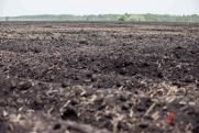 В Башкирии возбуждено уголовное дело о повреждении почвы с ущербом 176 млн рублей