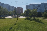 Новосибирск заполонили мошки: почему они атакуют и как от них спасаться