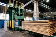 Деревообрабатывающие предприятия Костромской области нарастили объемы производства