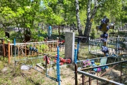 В Прикамье на кладбище обнаружили захоронения трупов животных