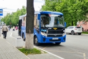 В Подмосковье вооруженные люди напали на свадебный автобус: пострадали дети