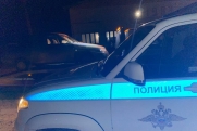 Нетрезвая автоледи привлекла внимание свердловских полицейских