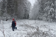 На Среднем Урале из-за снегопада энергетики восстанавливают энергоснабжение
