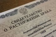 Демограф назвал главную причину разводов и абортов
