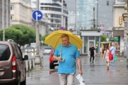 До 54 % месячной нормы осадков выпало в Челябинской области за сутки