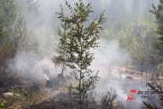 Вокруг свердловской «газовой столицы» горят десятки гектаров леса