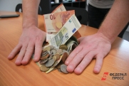 Депутаты рассказали, как планируют бороться за зарплаты и пенсии россиян