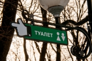 Петербургский депутат ответил, удастся ли сократить очереди в женские туалеты