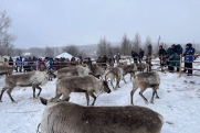 Оленеводство с дронами и глубоководный порт: как Ненецкий автономный округ готовится к своему столетию