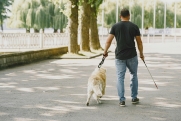 Как россиянам с инвалидностью получить собаку-поводыря: разъяснение Минтруда