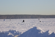 В Новосибирской области спасли 13 застрявших на льдине рыбаков